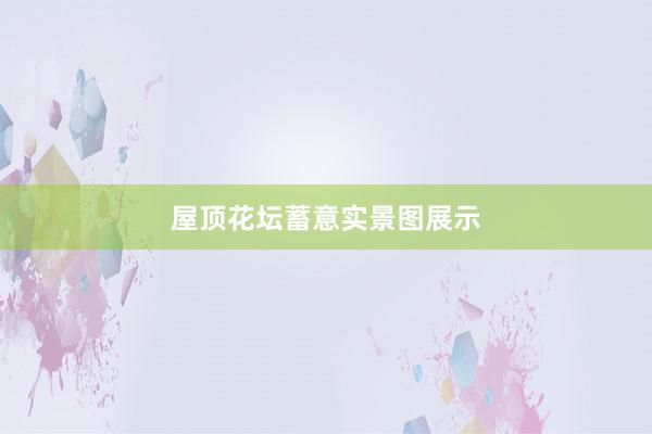 屋顶花坛蓄意实景图展示