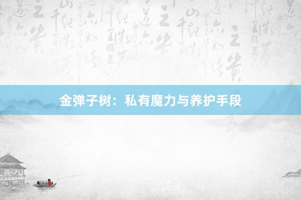 金弹子树：私有魔力与养护手段